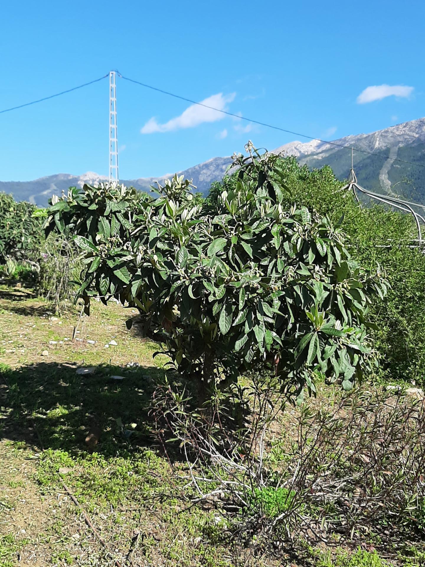 Pisos-Venta-AlcaucÃ­n-2063667-Foto-90