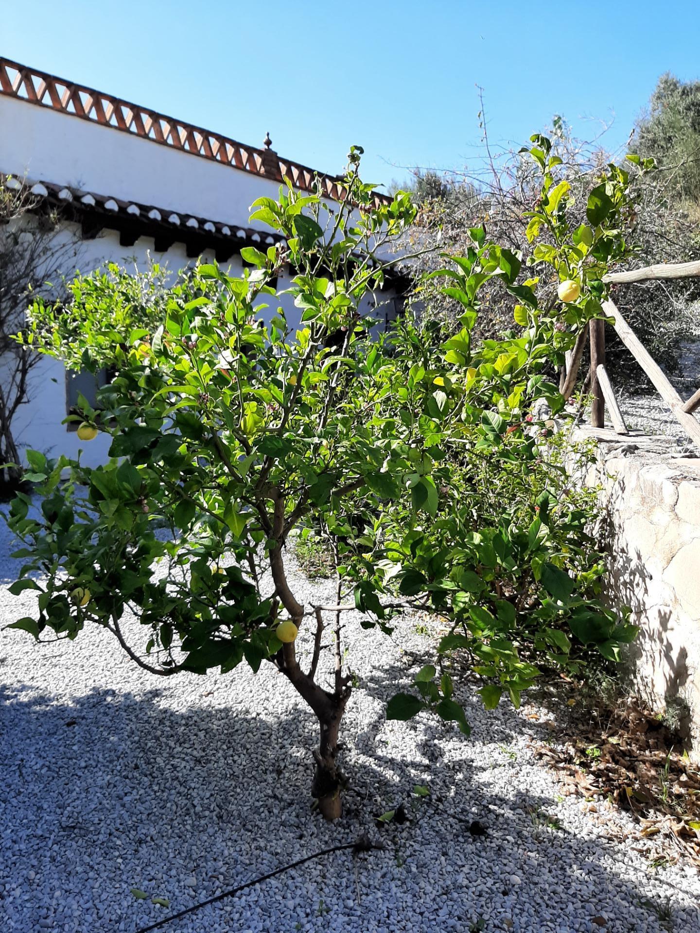 Pisos-Venta-AlcaucÃ­n-2063667-Foto-93