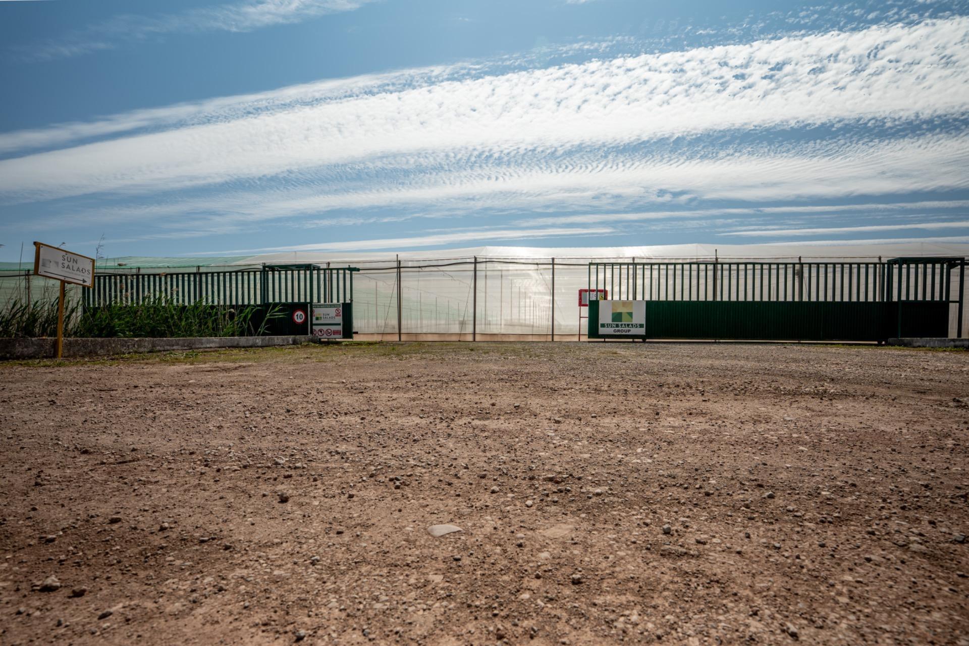 Fincas y solares-Venta-Utrera-2201305-Foto-3