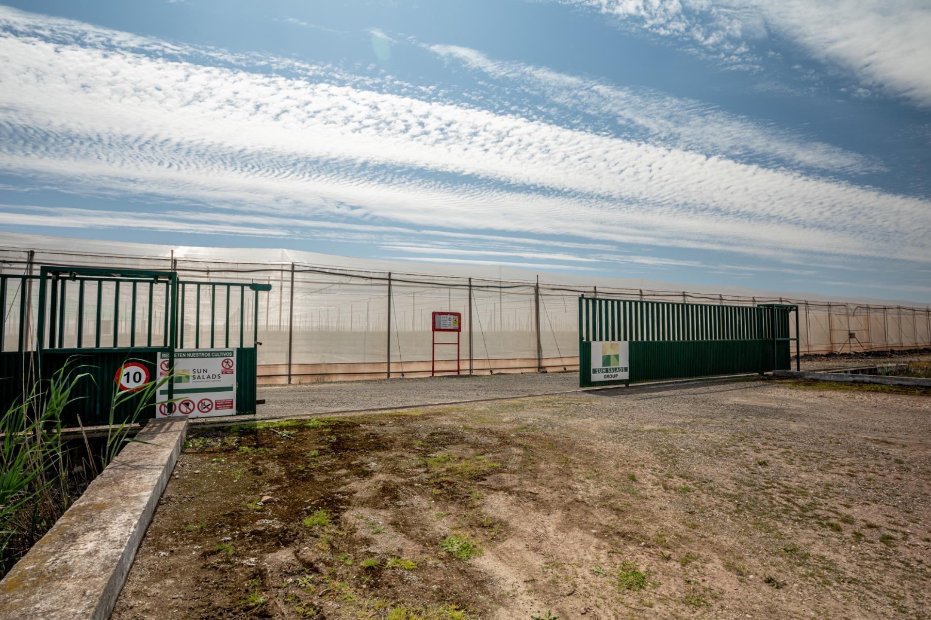 Fincas y solares-Venta-Utrera-2201305-Foto-4