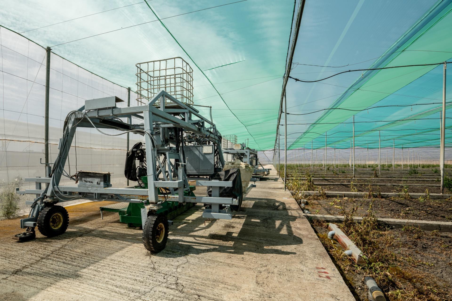 Fincas y solares-Venta-Utrera-2201305-Foto-10