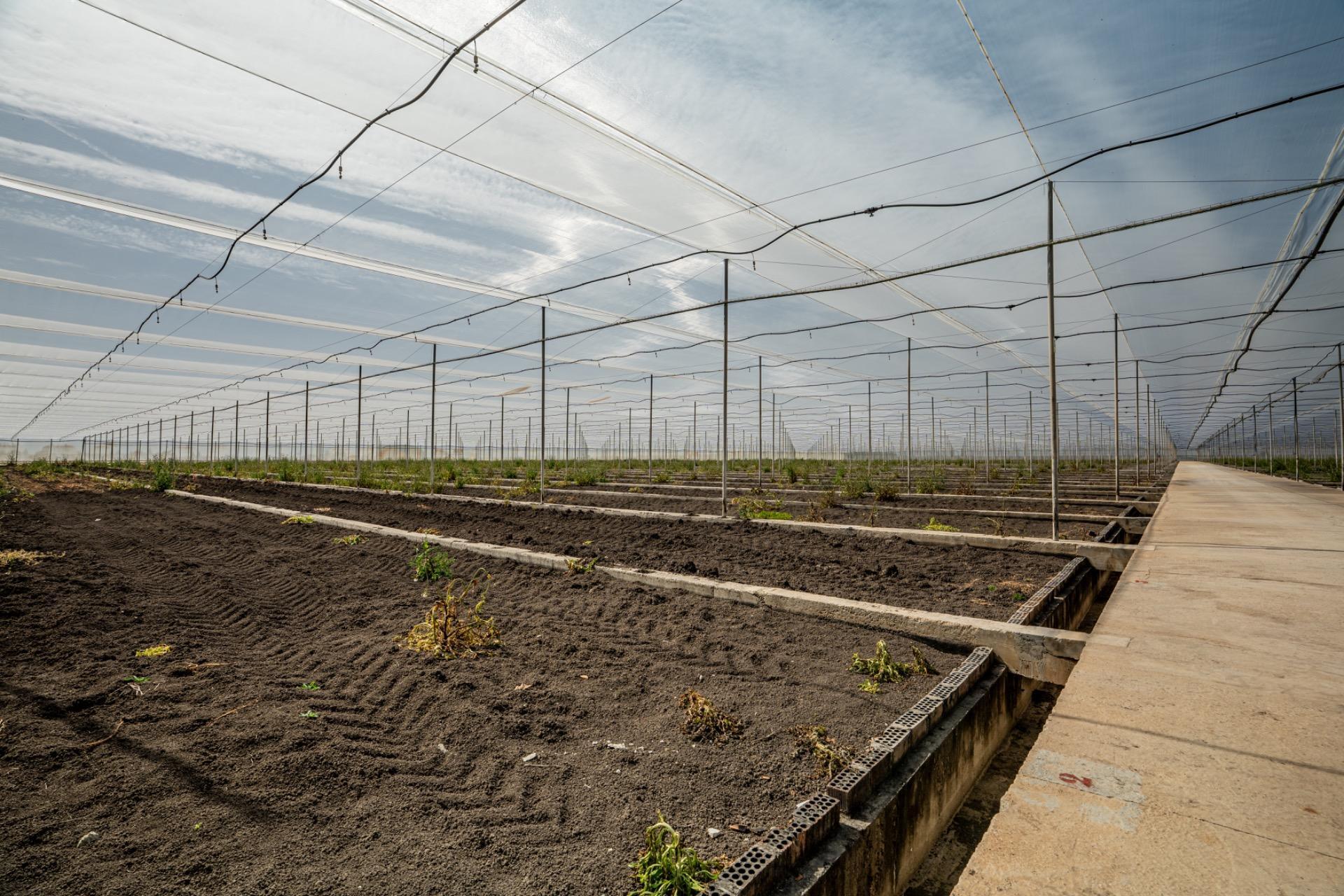 Fincas y solares-Venta-Utrera-2201305-Foto-16
