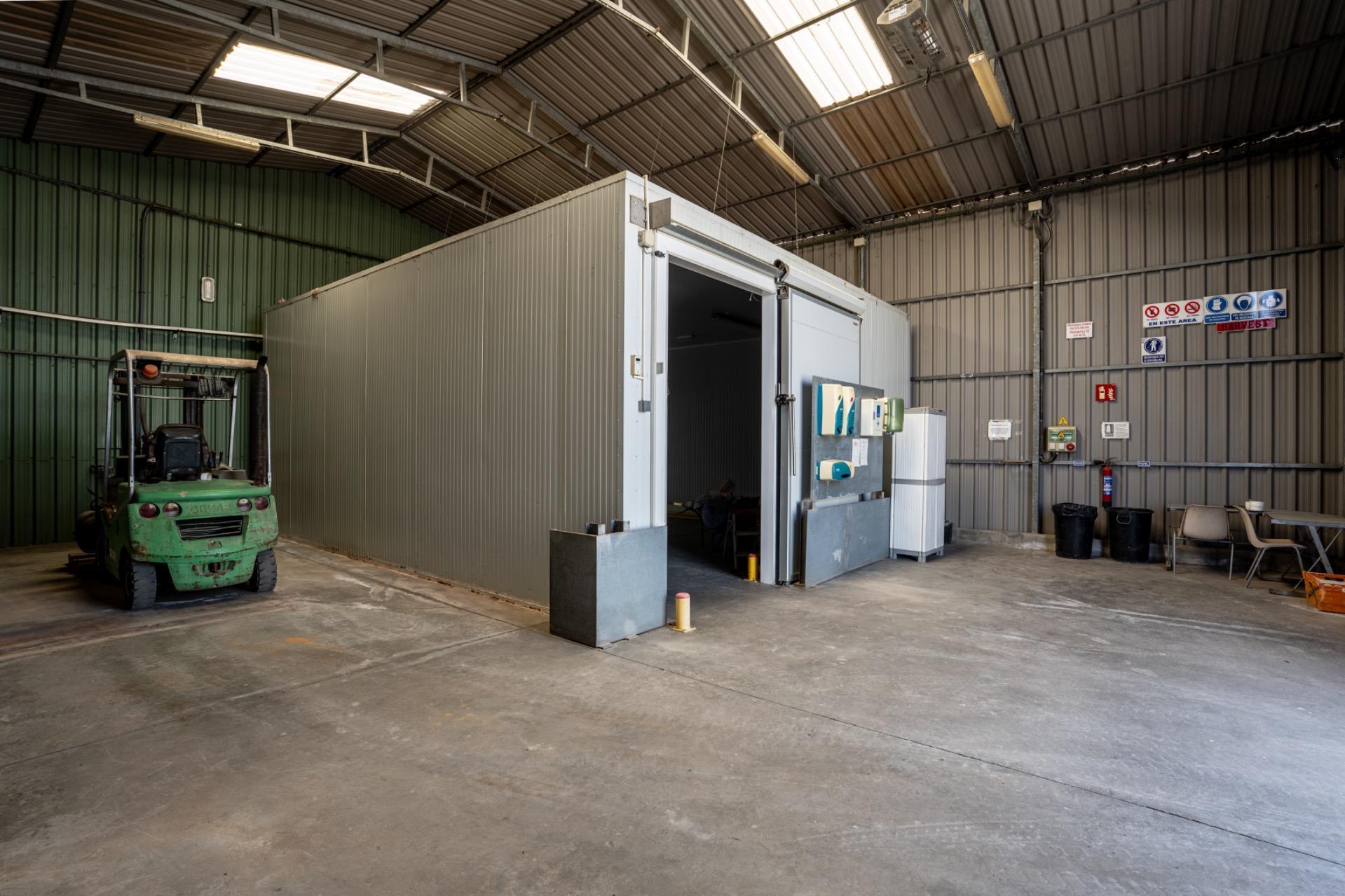 Fincas y solares-Venta-Utrera-2201305-Foto-23