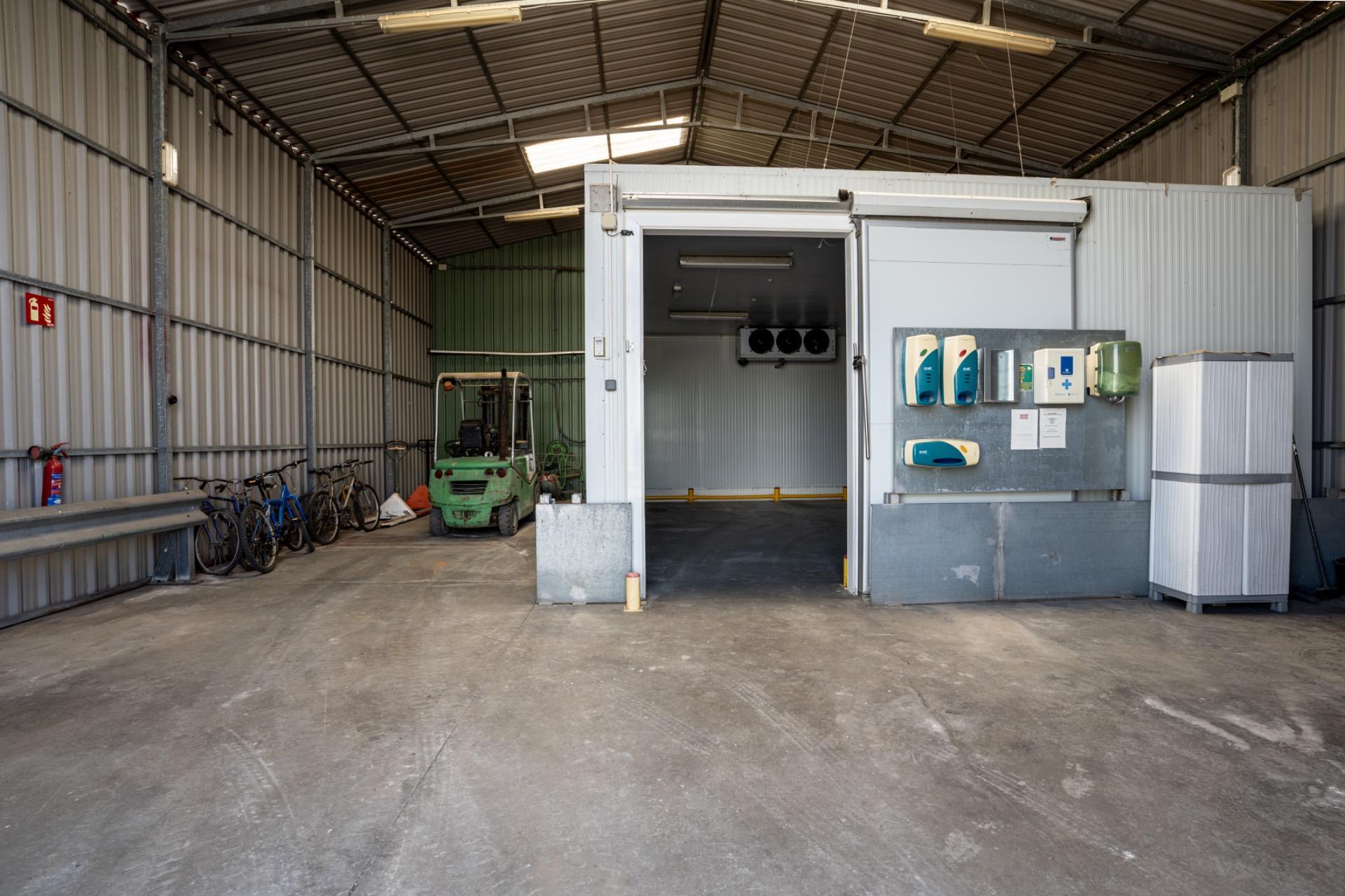 Fincas y solares-Venta-Utrera-2201305-Foto-24