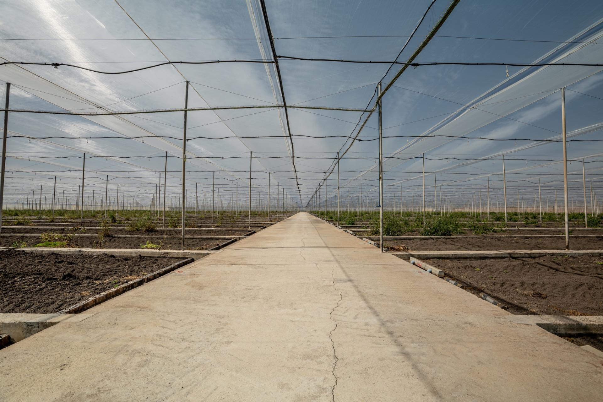 Fincas y solares-Venta-Utrera-2201305-Foto-47