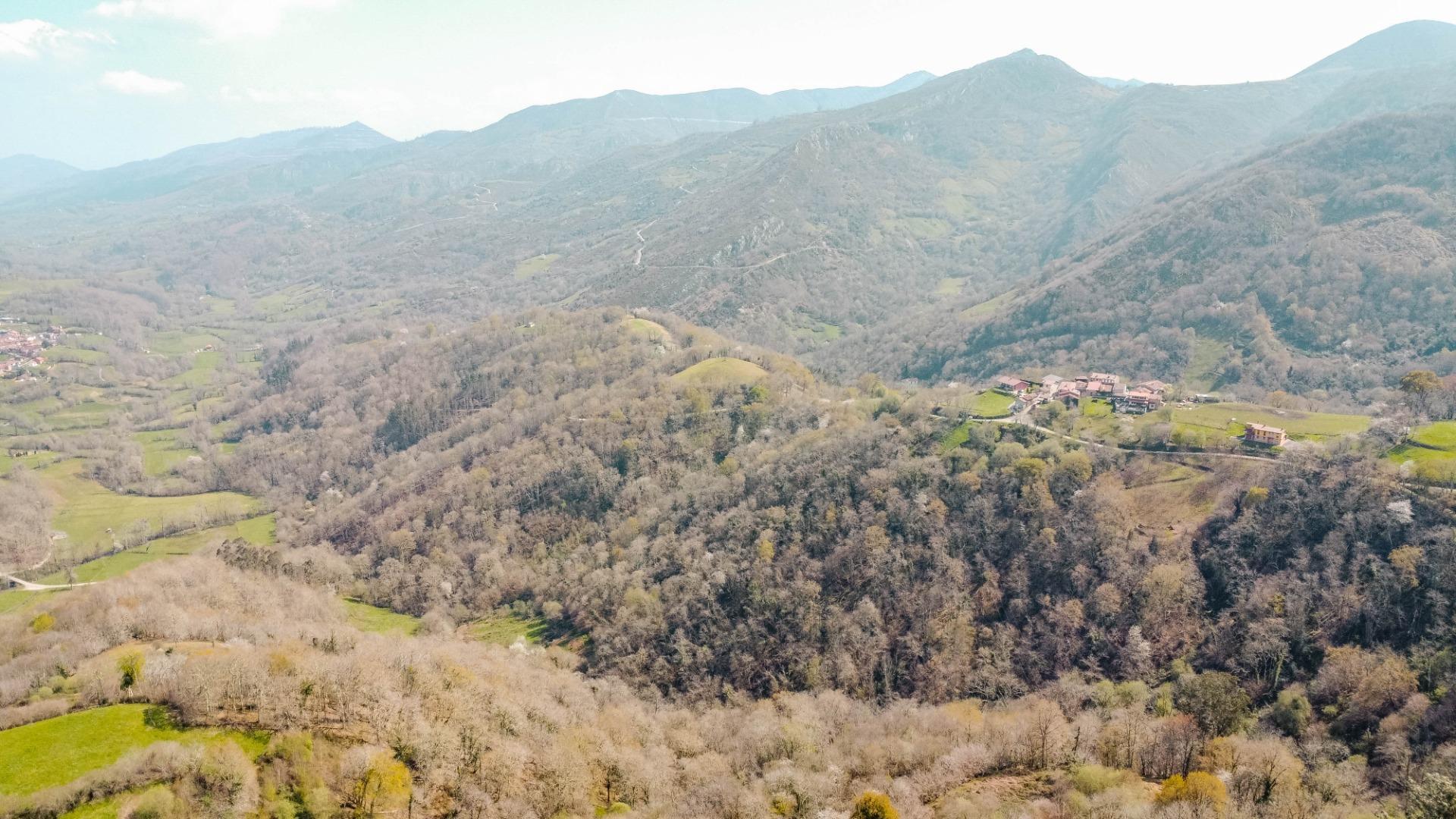 Pisos-Venta-Las Navas del MarquÃ©s-2201311-Foto-20