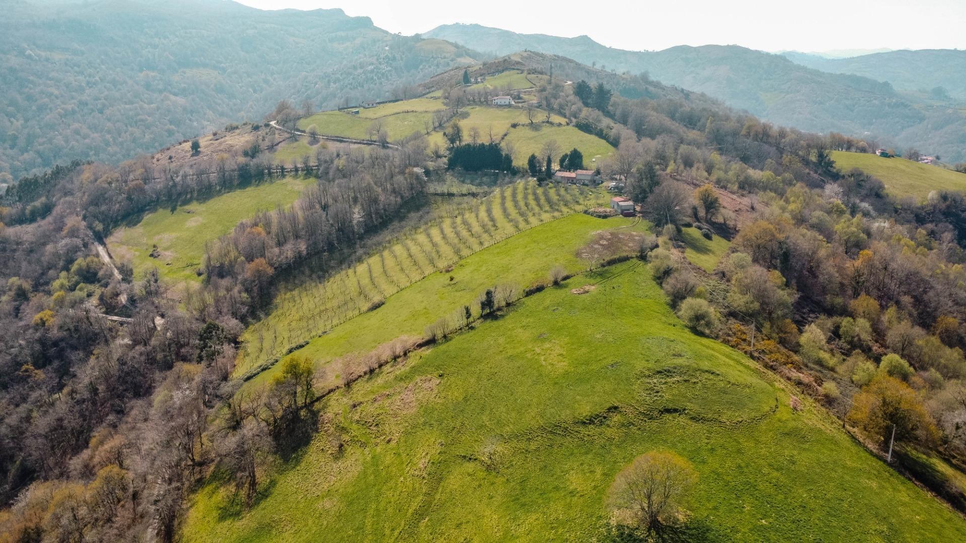 Pisos-Venta-Las Navas del MarquÃ©s-2201311-Foto-35