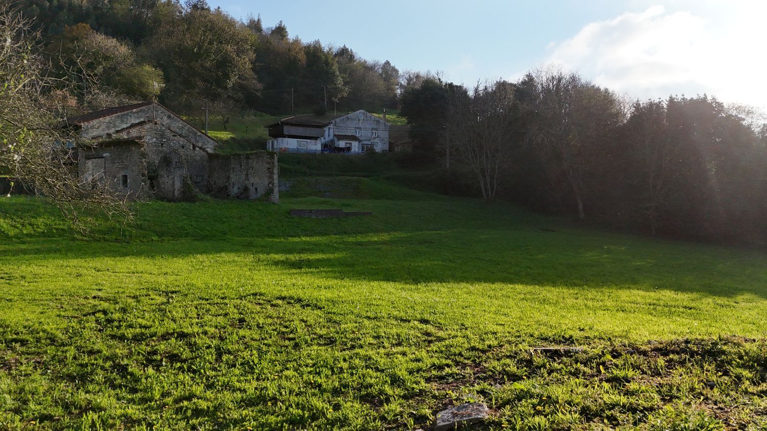 Fincas y solares-Venta-CarreÃ±o-2201317-Foto-13
