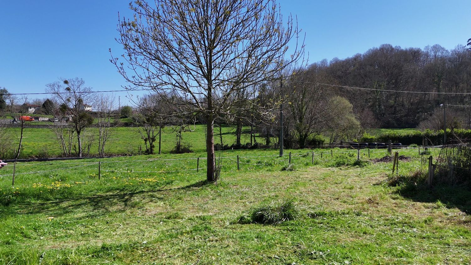 Fincas y solares-Venta-Siero-2201320-Foto-6