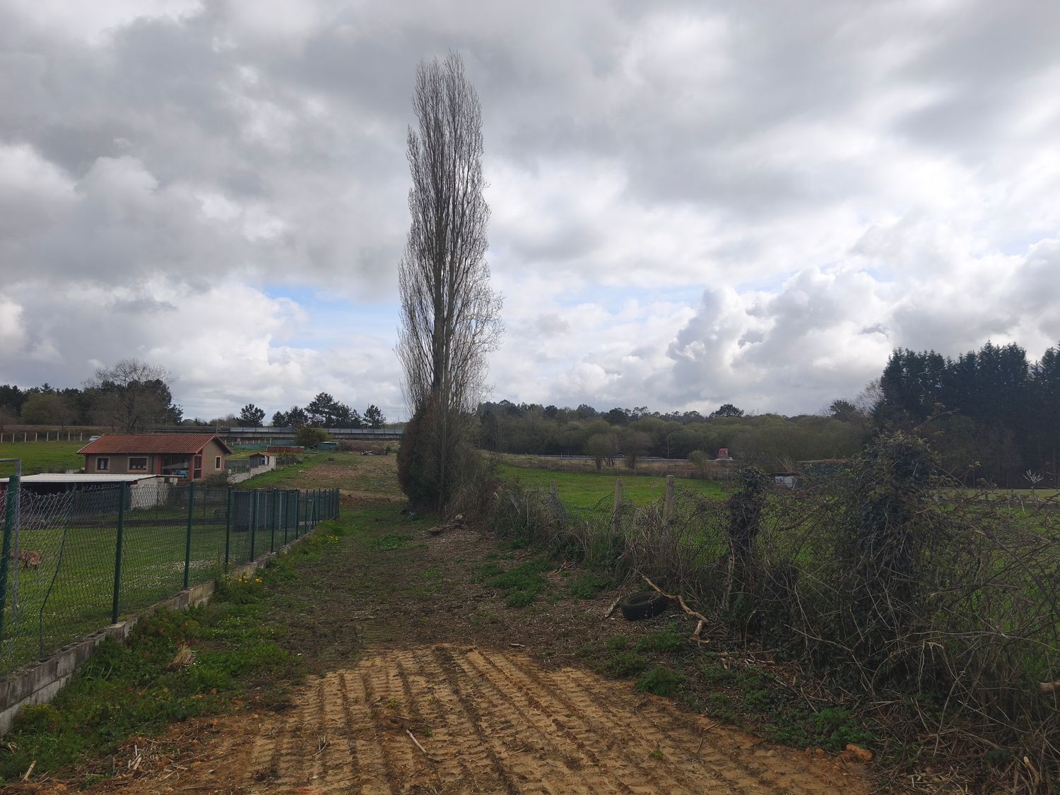 Fincas y solares-Venta-Llanera-2201323-Foto-13