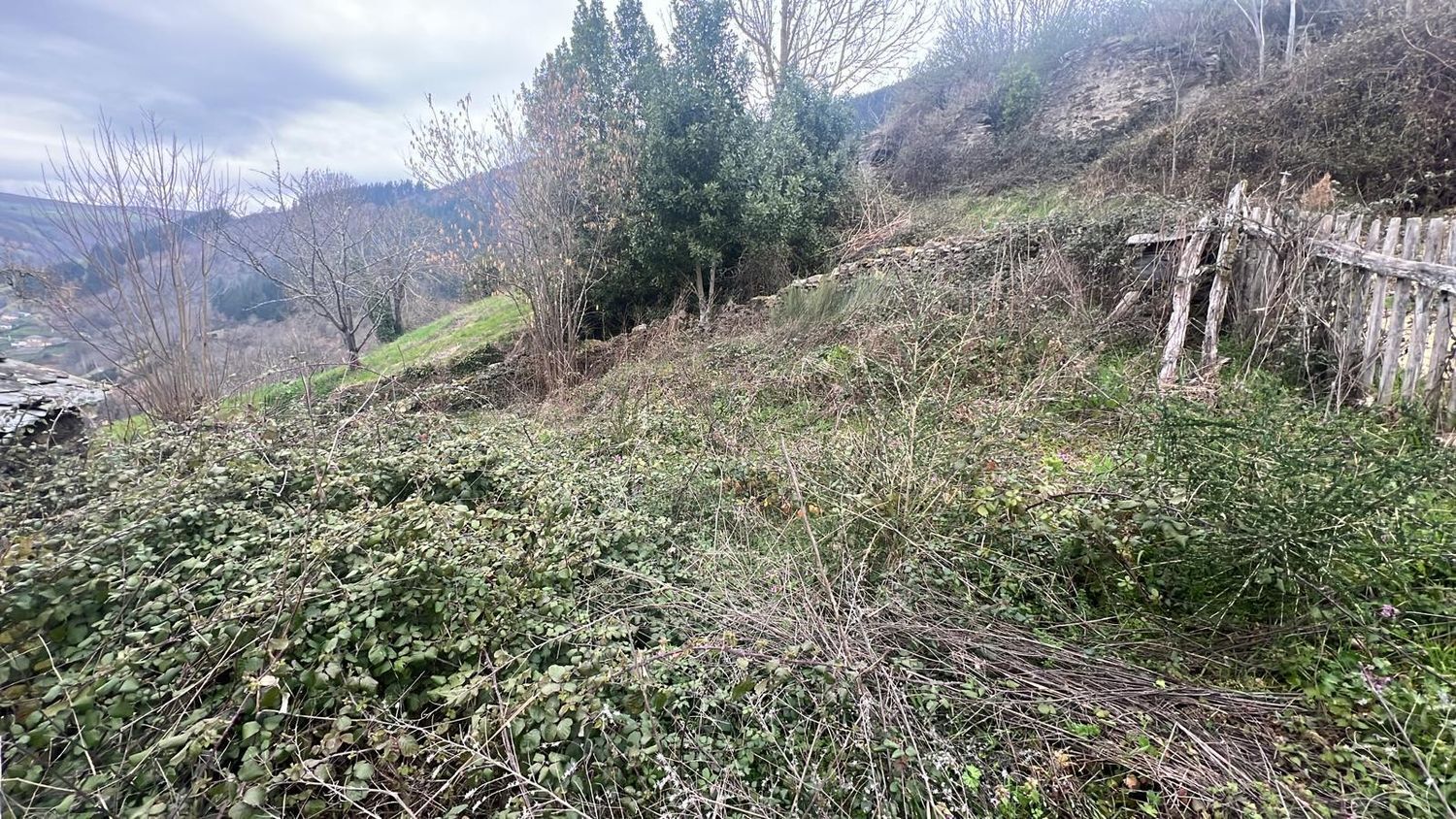 Casas o chalets-Venta-Cangas de Narcea-2201326-Foto-5