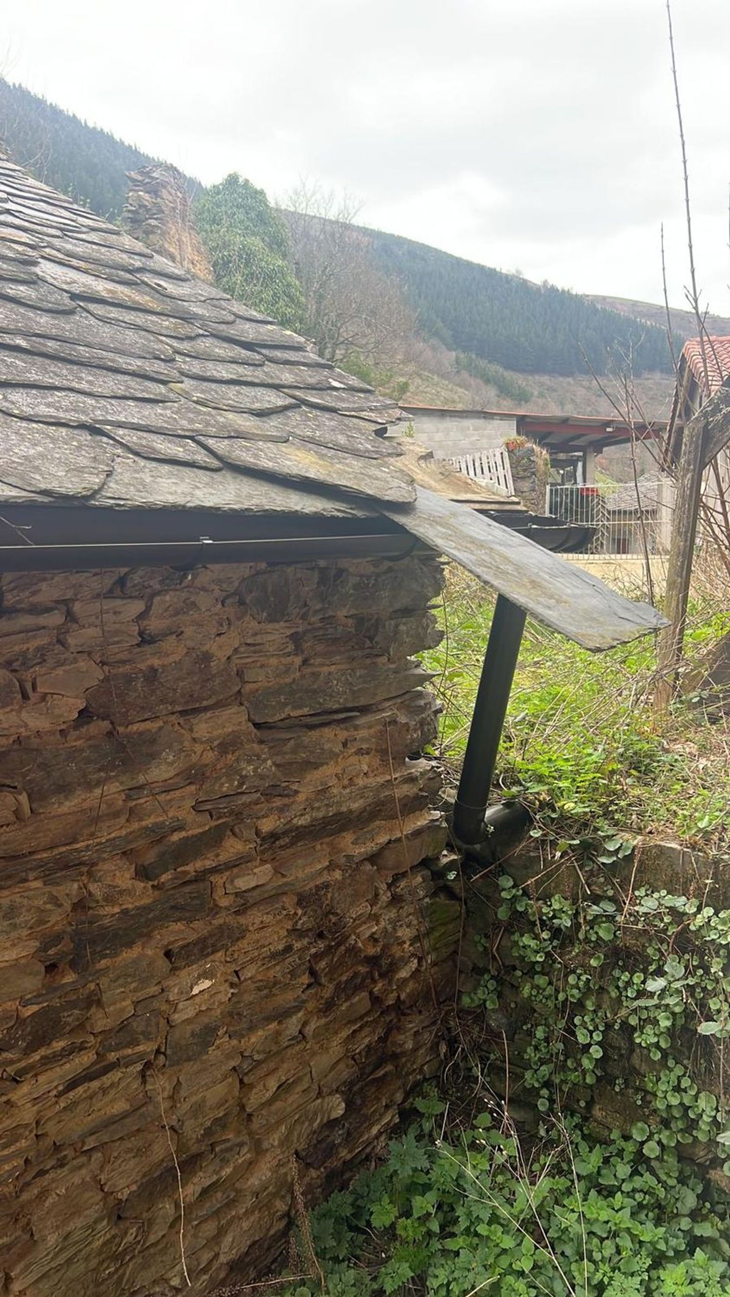 Casas o chalets-Venta-Cangas de Narcea-2201326-Foto-4