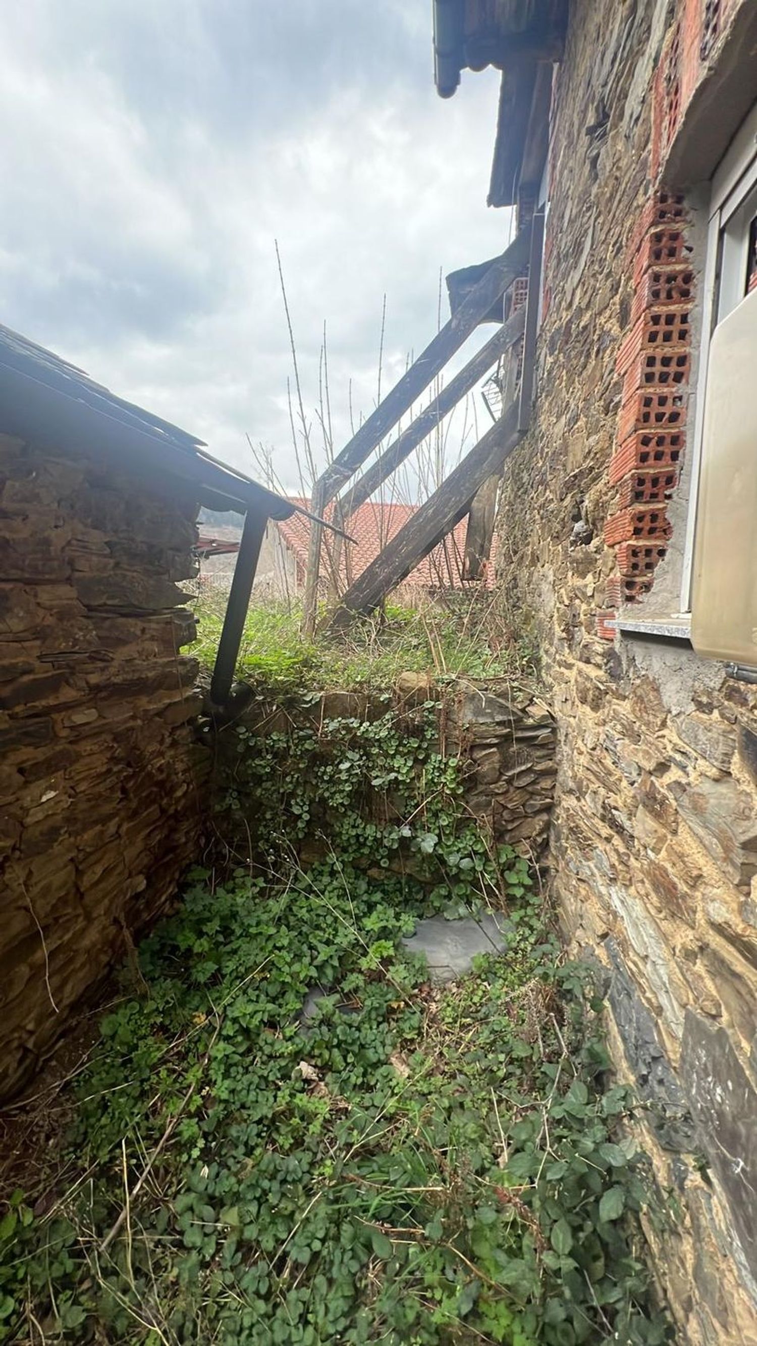 Casas o chalets-Venta-Cangas de Narcea-2201326-Foto-6