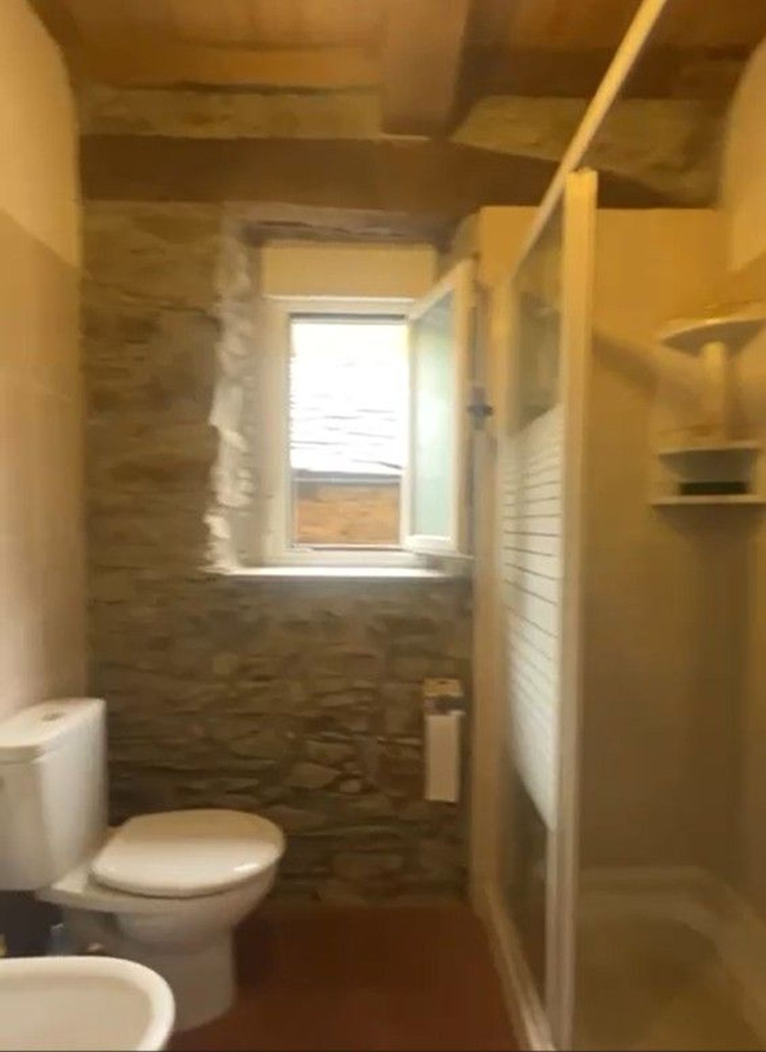 Casas o chalets-Venta-Cangas de Narcea-2201326-Foto-13