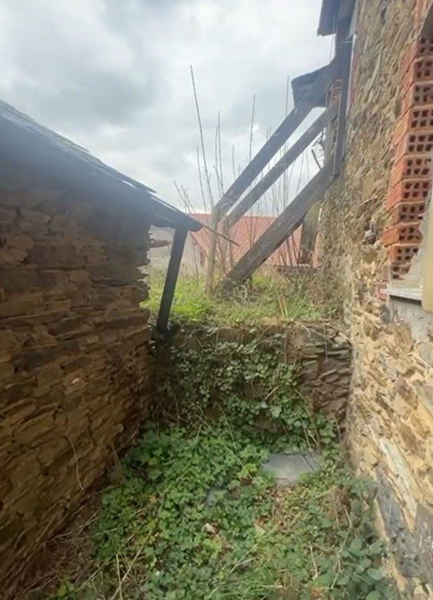 Casas o chalets-Venta-Cangas de Narcea-2201326-Foto-18