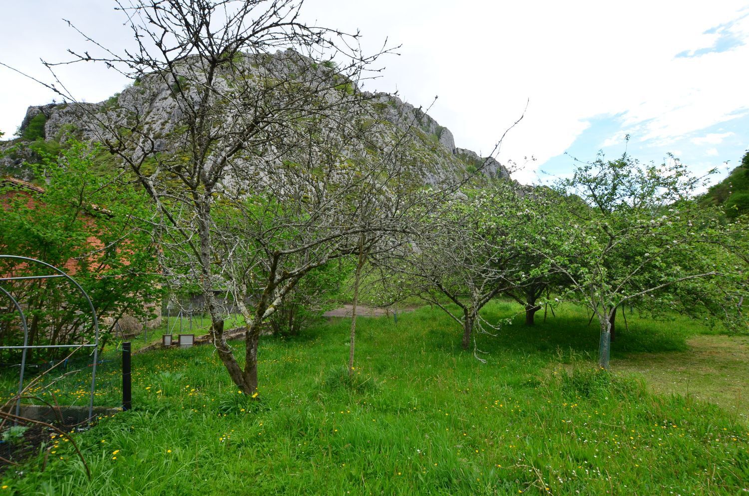 Casas o chalets-Venta-PiloÃ±a-1723336-Foto-10