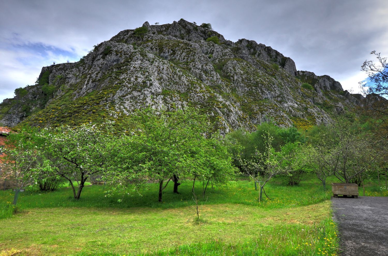 Casas o chalets-Venta-PiloÃ±a-1723336-Foto-24