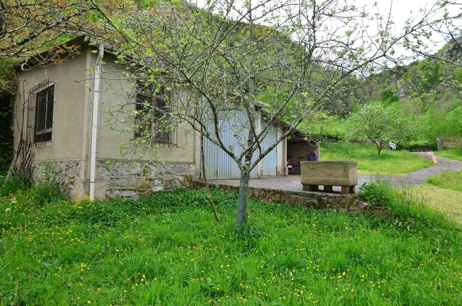 Casas o chalets-Venta-PiloÃ±a-1723336-Foto-29