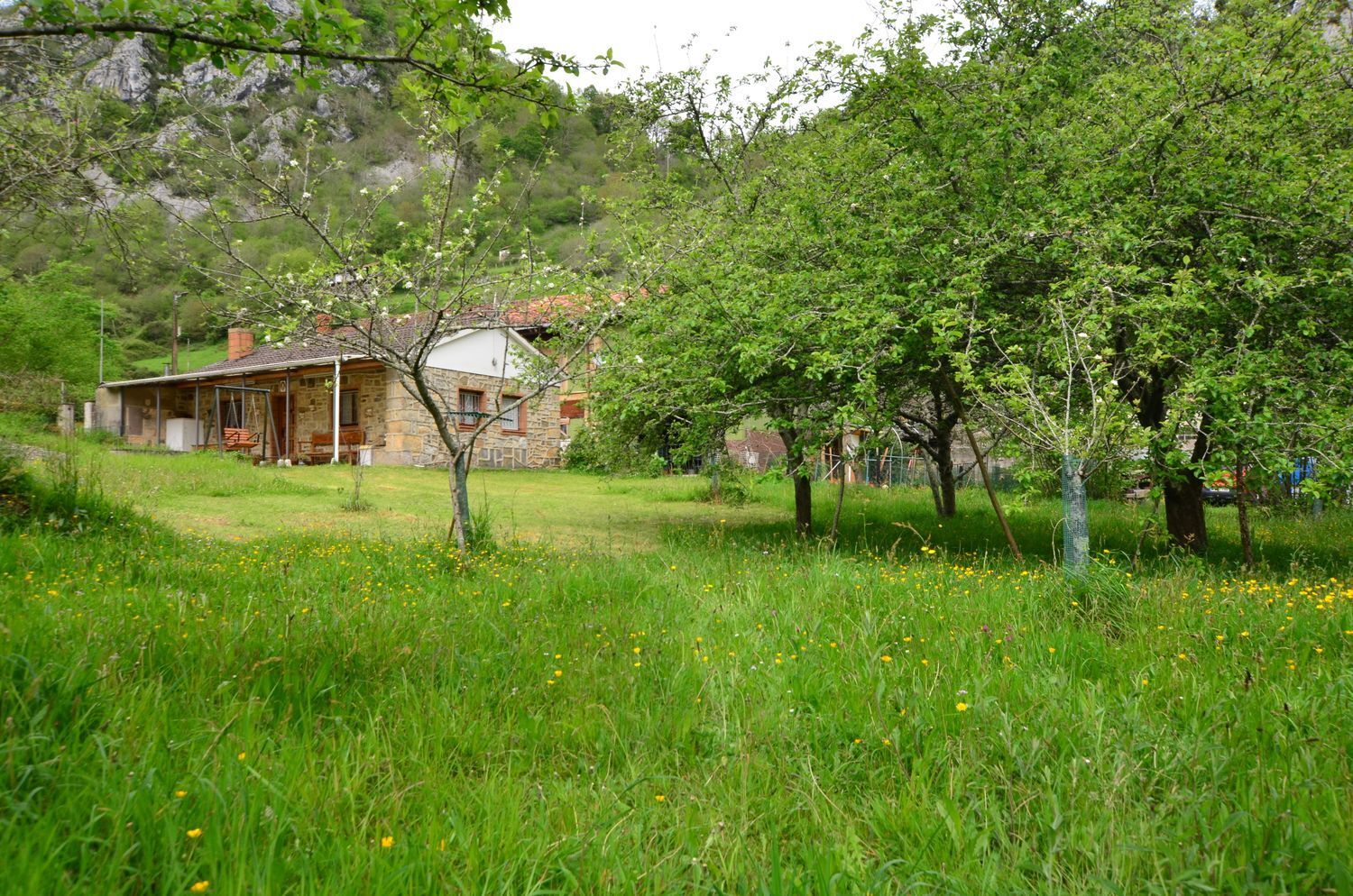 Casas o chalets-Venta-PiloÃ±a-1723336-Foto-30