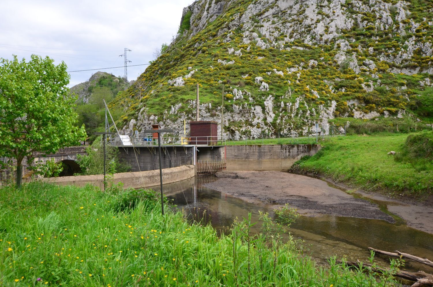 Casas o chalets-Venta-PiloÃ±a-1723336-Foto-31