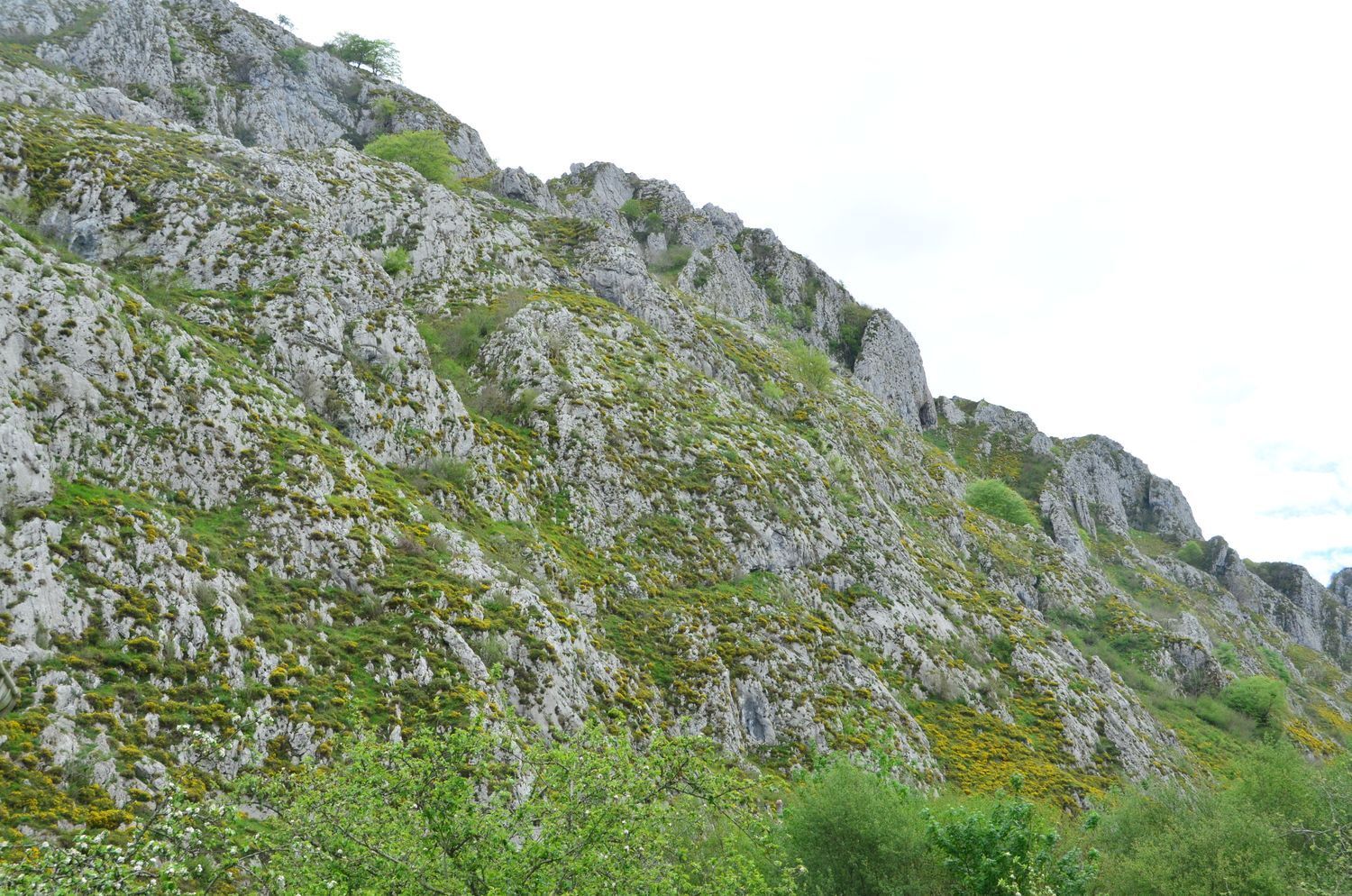 Casas o chalets-Venta-PiloÃ±a-1723336-Foto-34