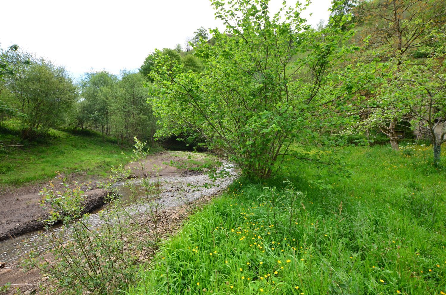 Casas o chalets-Venta-PiloÃ±a-1723336-Foto-32