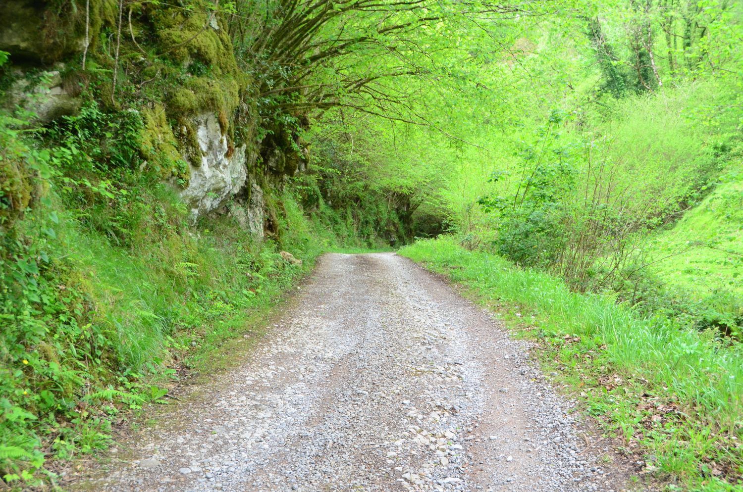 Casas o chalets-Venta-PiloÃ±a-1723336-Foto-35