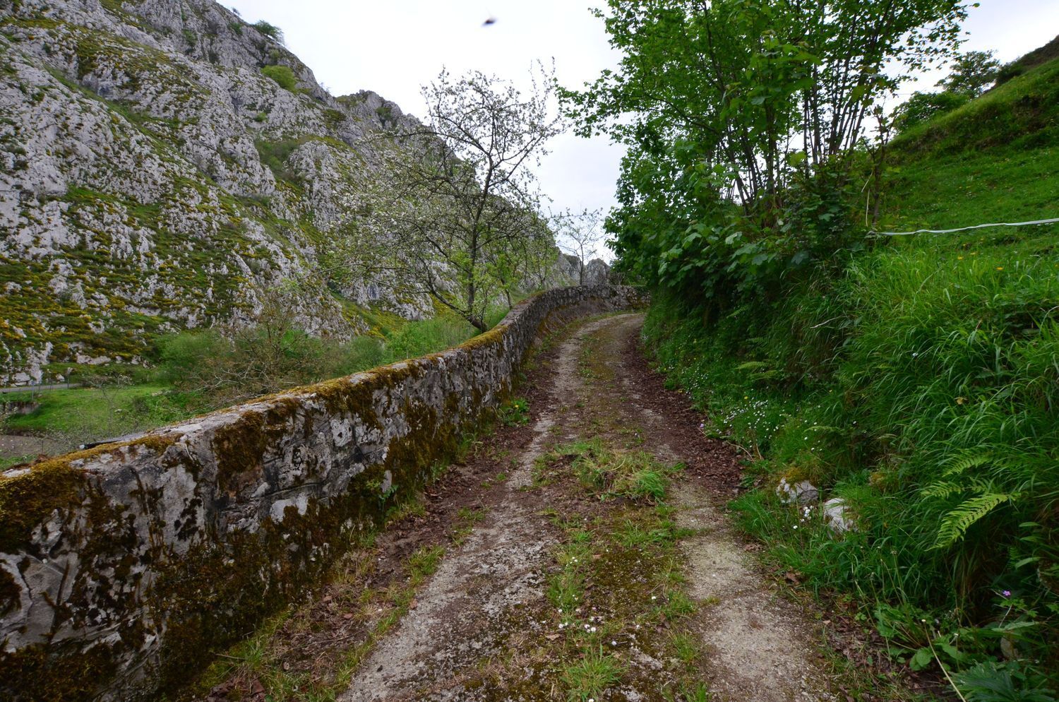 Casas o chalets-Venta-PiloÃ±a-1723336-Foto-39