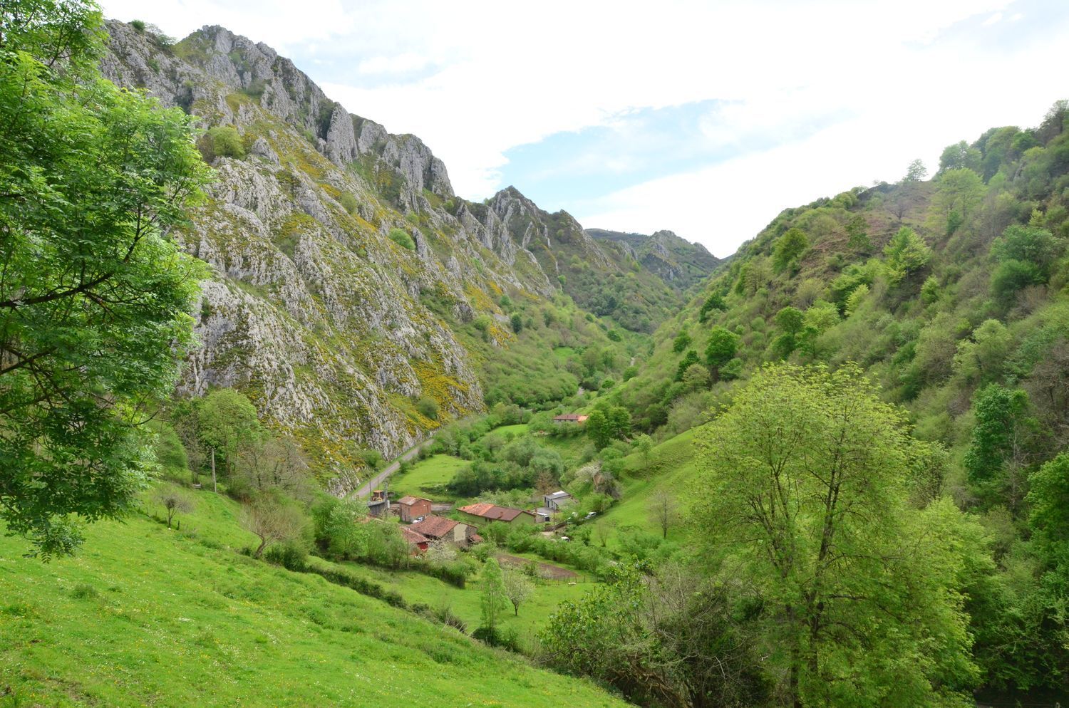 Casas o chalets-Venta-PiloÃ±a-1723336-Foto-38