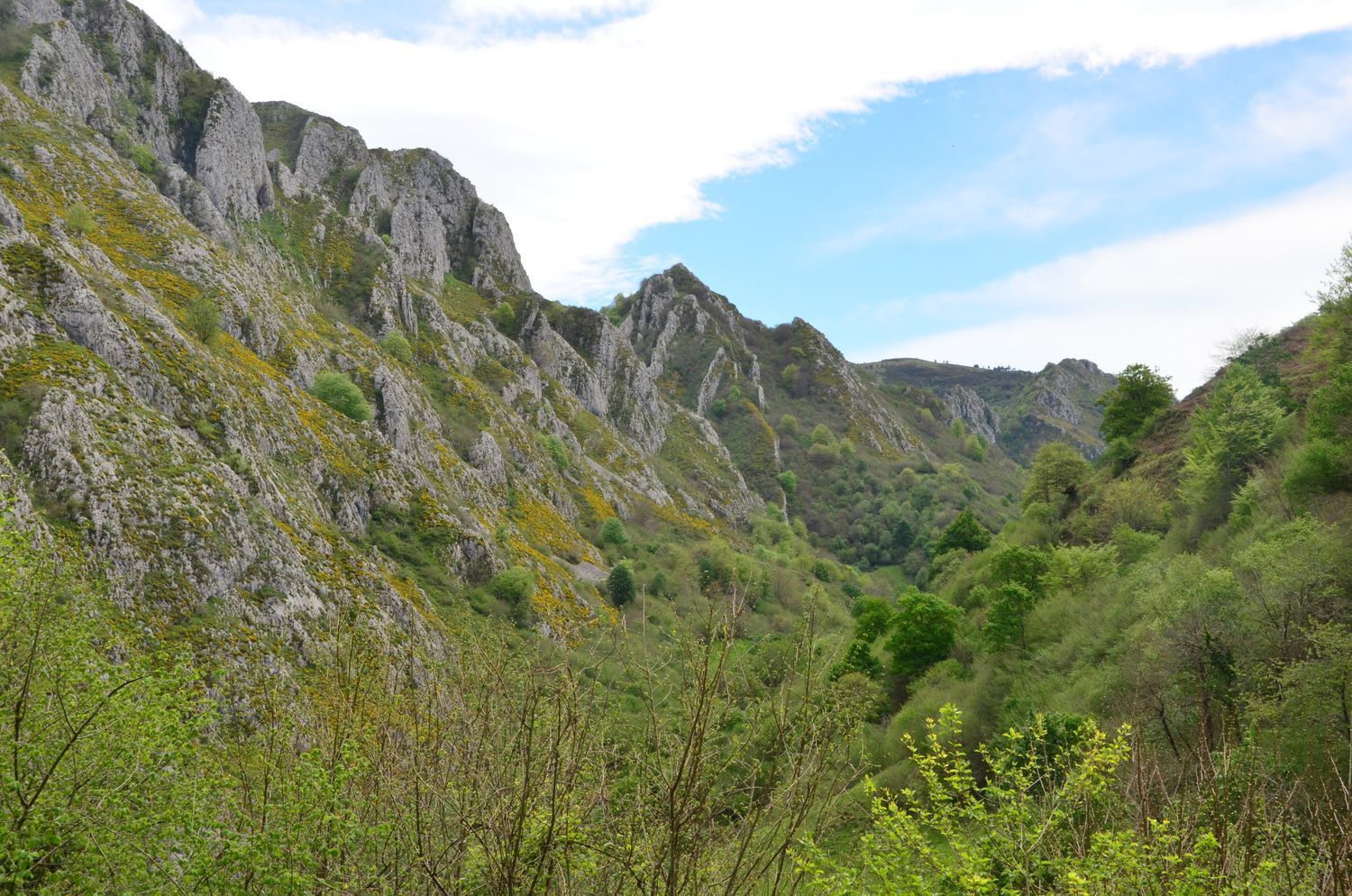 Casas o chalets-Venta-PiloÃ±a-1723336-Foto-37