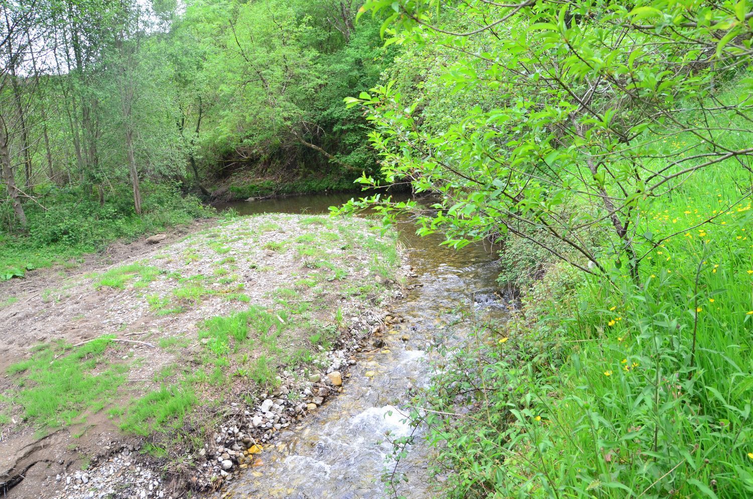 Casas o chalets-Venta-PiloÃ±a-1723336-Foto-40