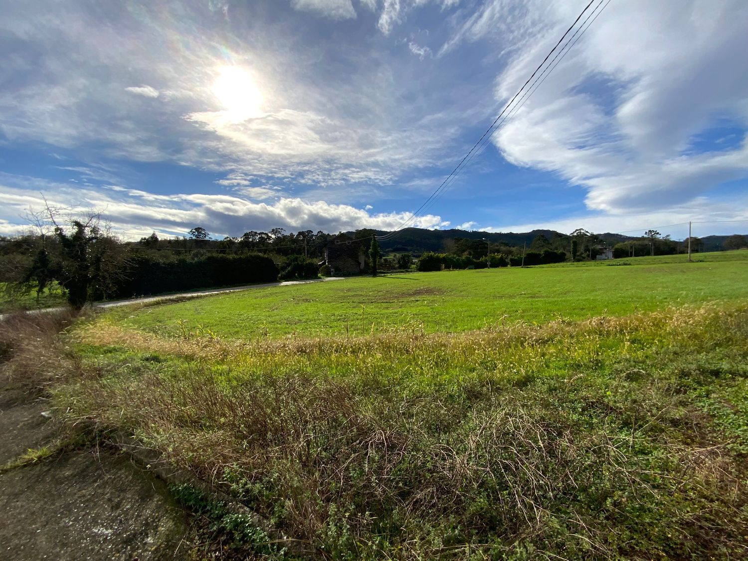 Fincas y solares-Venta-ValdÃ©s-2201332-Foto-2