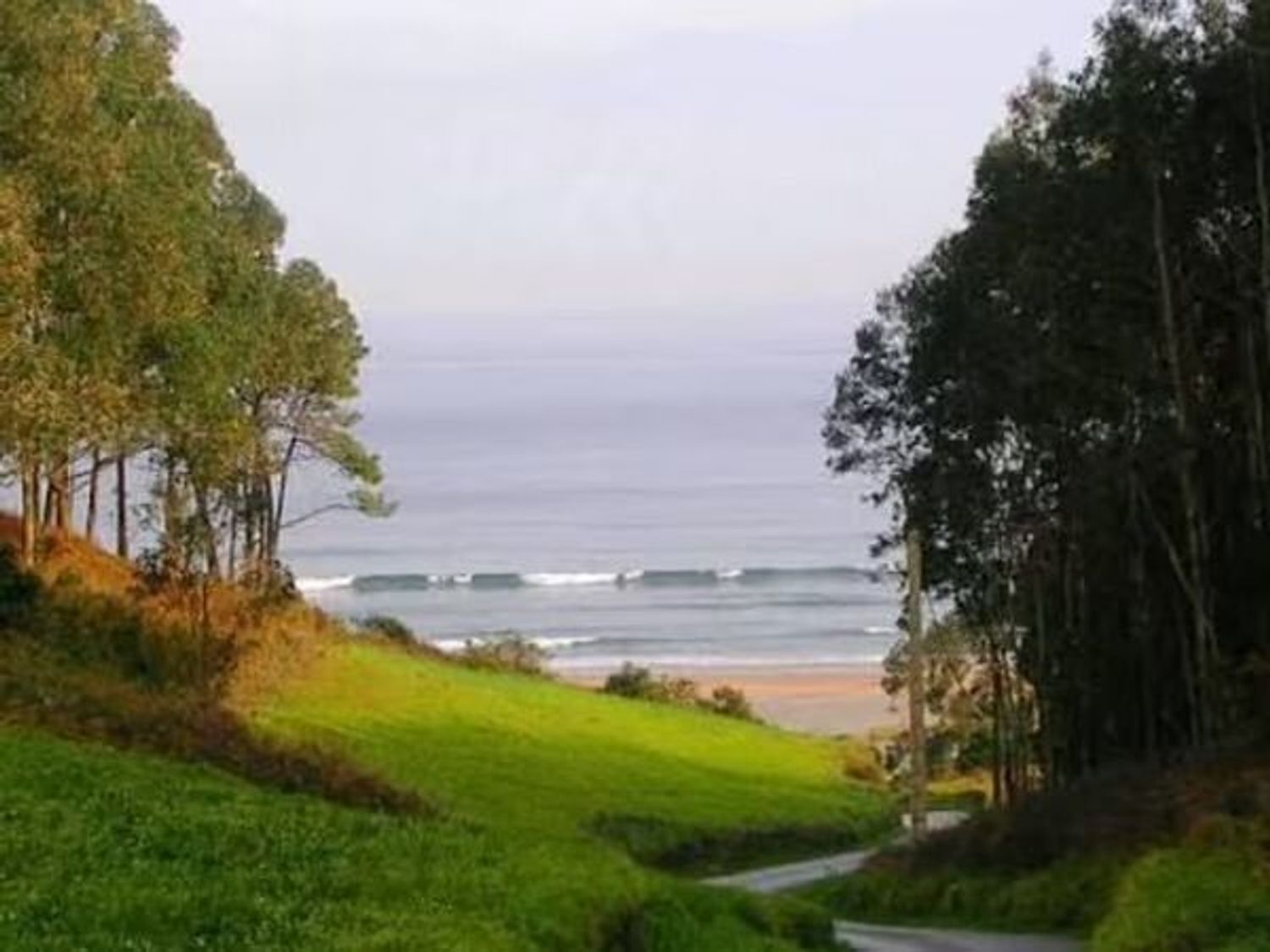 Fincas y solares-Venta-ValdÃ©s-2201332-Foto-5