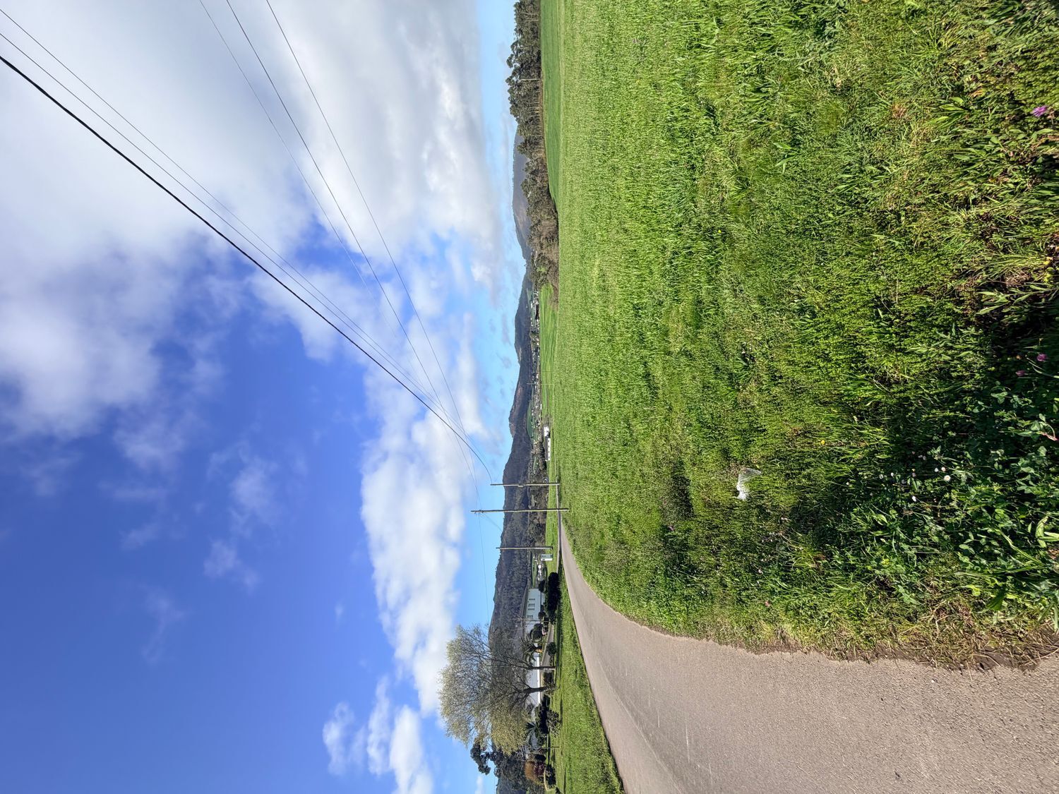 Fincas y solares-Venta-ValdÃ©s-2201332-Foto-8