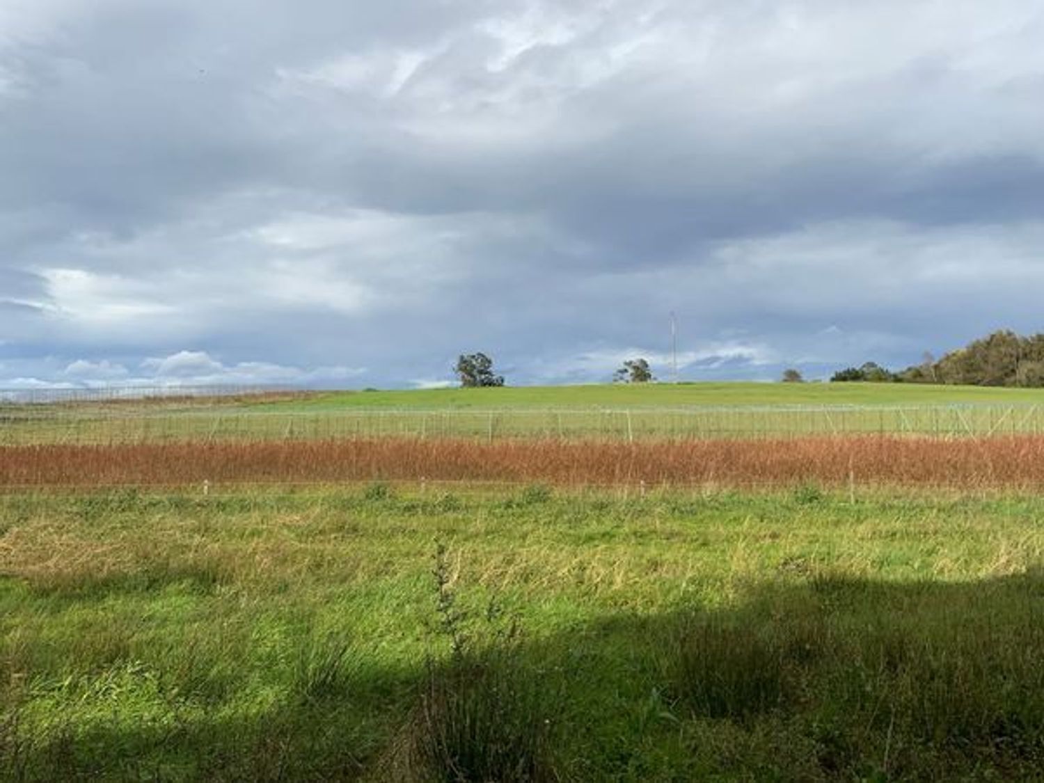 Fincas y solares-Venta-ValdÃ©s-2201335-Foto-3