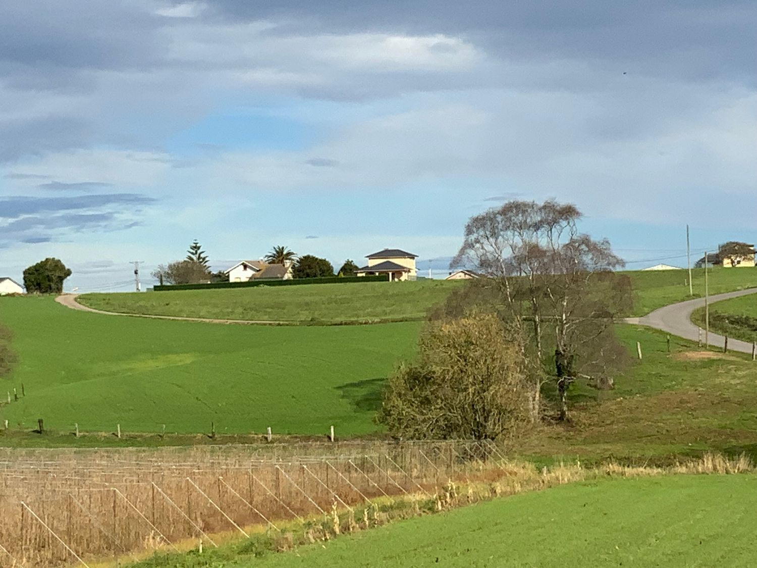 Fincas y solares-Venta-ValdÃ©s-2201335-Foto-2