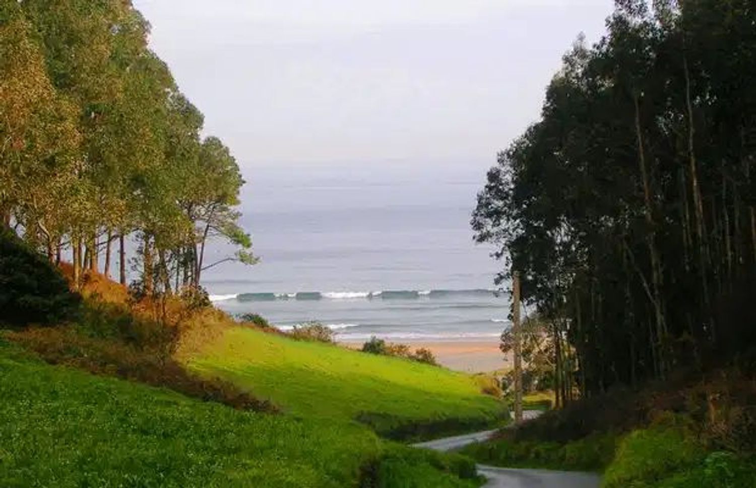 Fincas y solares-Venta-ValdÃ©s-2201335-Foto-4