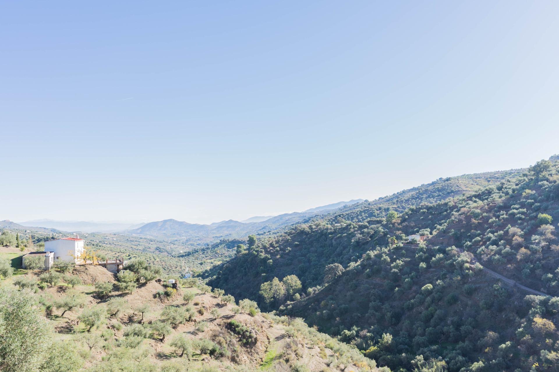 Pisos-Venta-Tolox-2009518-Foto-3