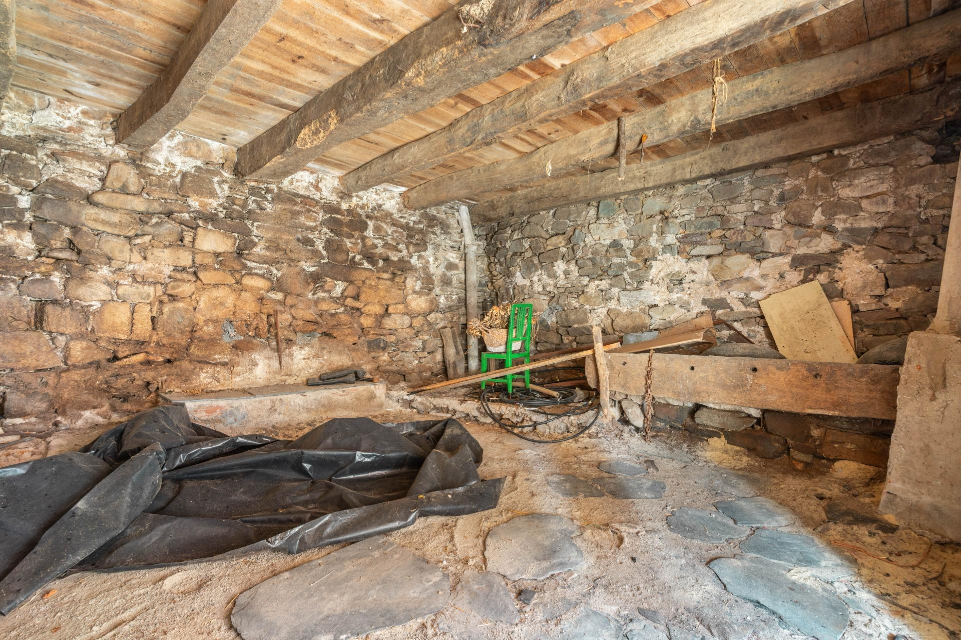 Casas o chalets-Venta-Cangas del Narcea-2201347-Foto-31