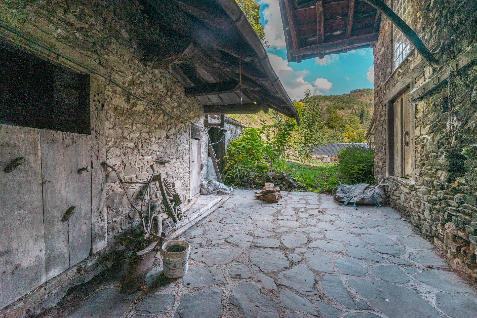 Casas o chalets-Venta-Cangas del Narcea-2201347-Foto-35