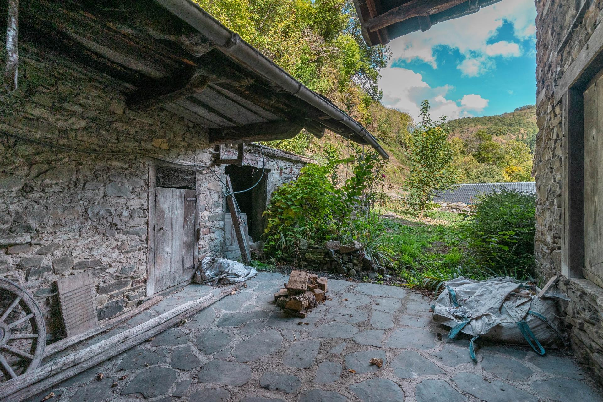 Casas o chalets-Venta-Cangas del Narcea-2201347-Foto-36