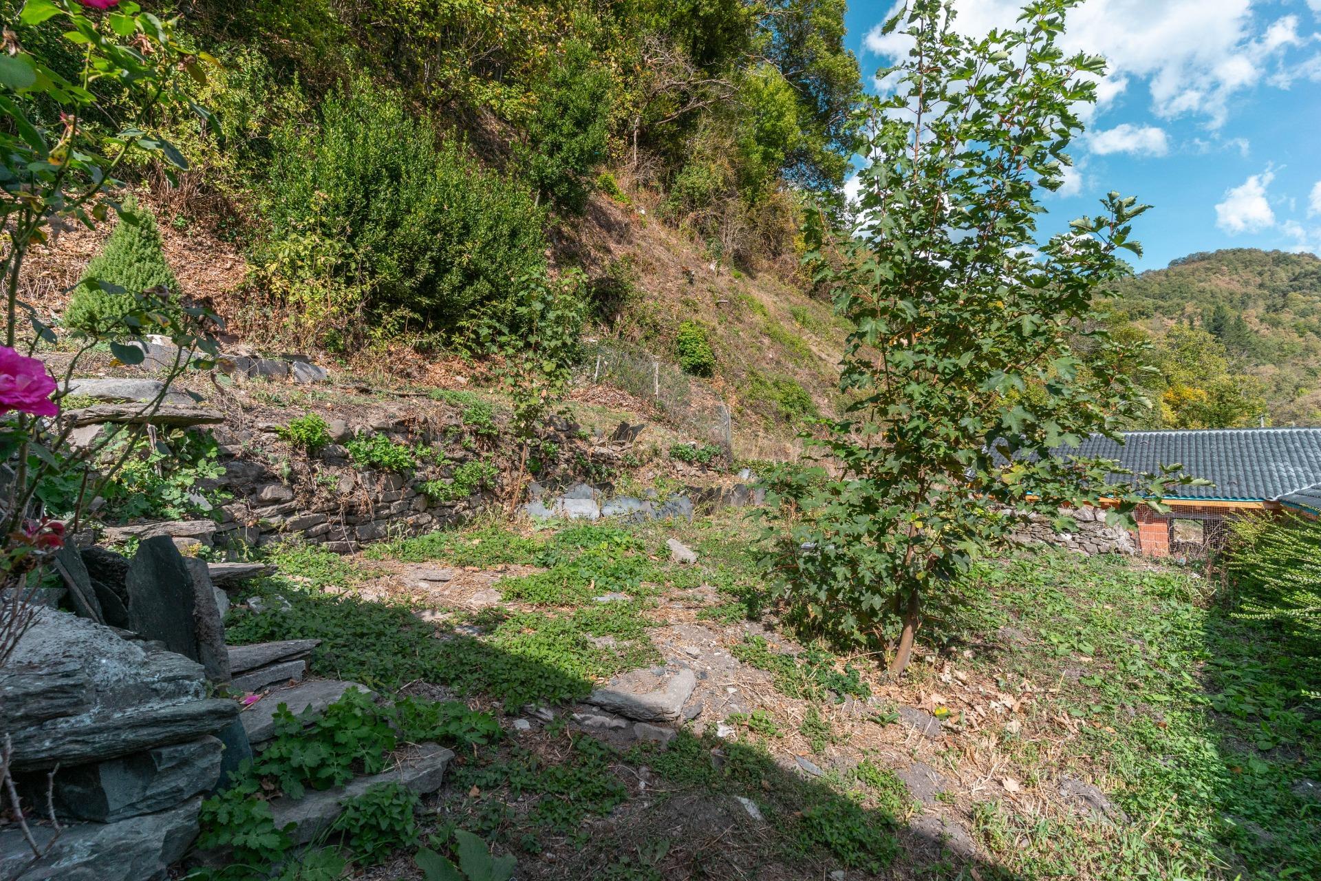 Casas o chalets-Venta-Cangas del Narcea-2201347-Foto-38