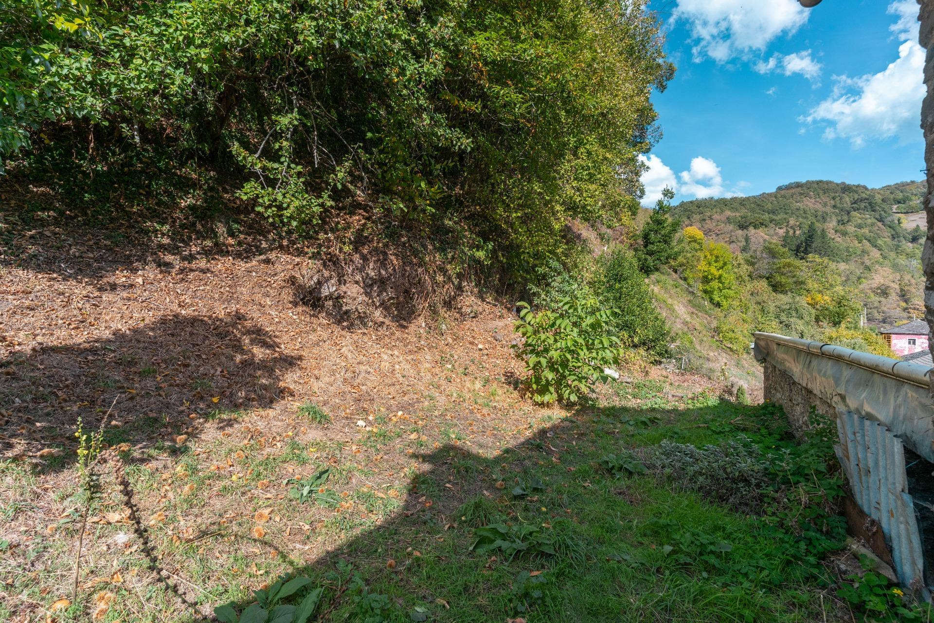 Casas o chalets-Venta-Cangas del Narcea-2201347-Foto-40