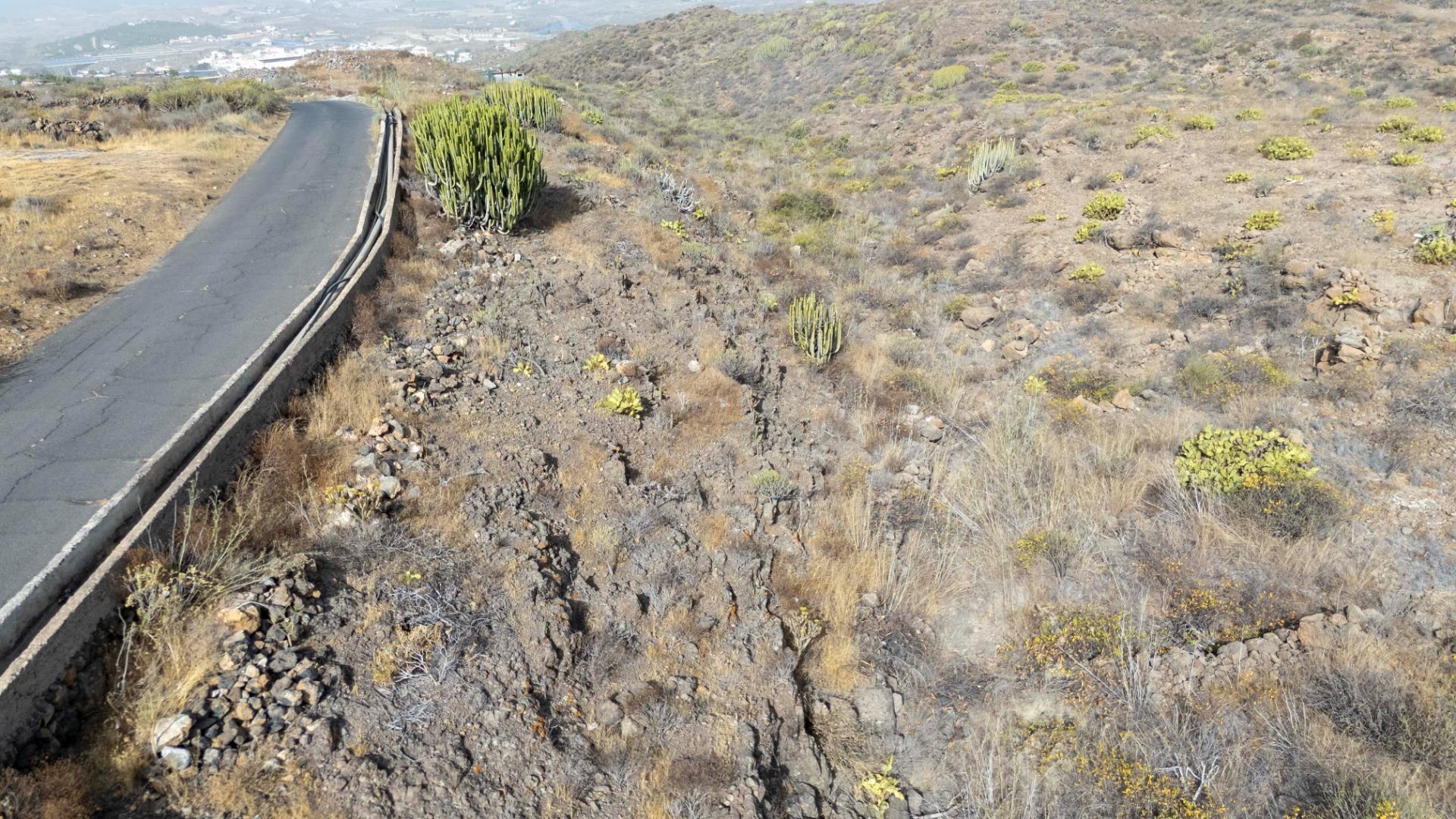 Fincas y solares-Venta-Adeje-1865681-Foto-11