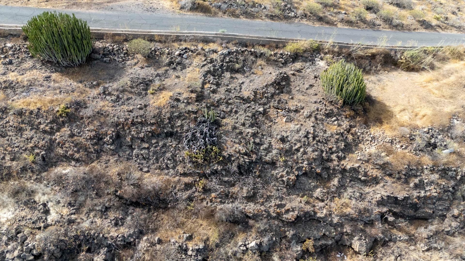 Fincas y solares-Venta-Adeje-1865681-Foto-31