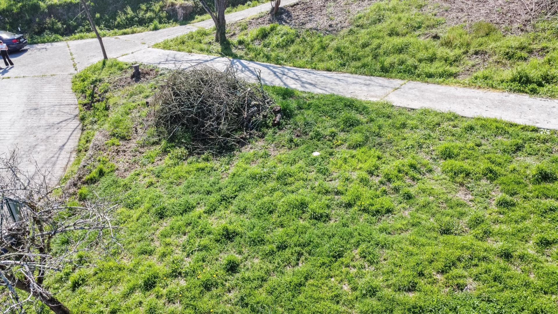 Fincas y solares-Venta-Pravia-2201350-Foto-8