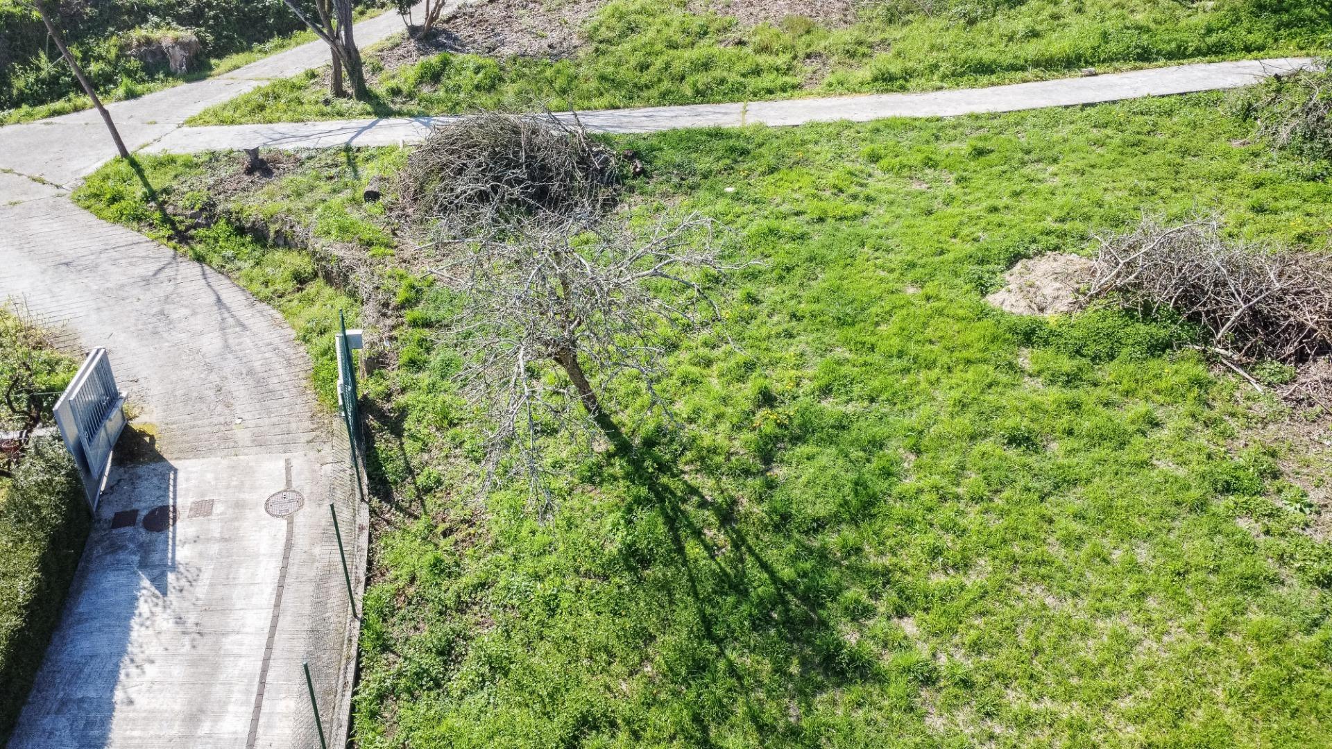 Fincas y solares-Venta-Pravia-2201350-Foto-10