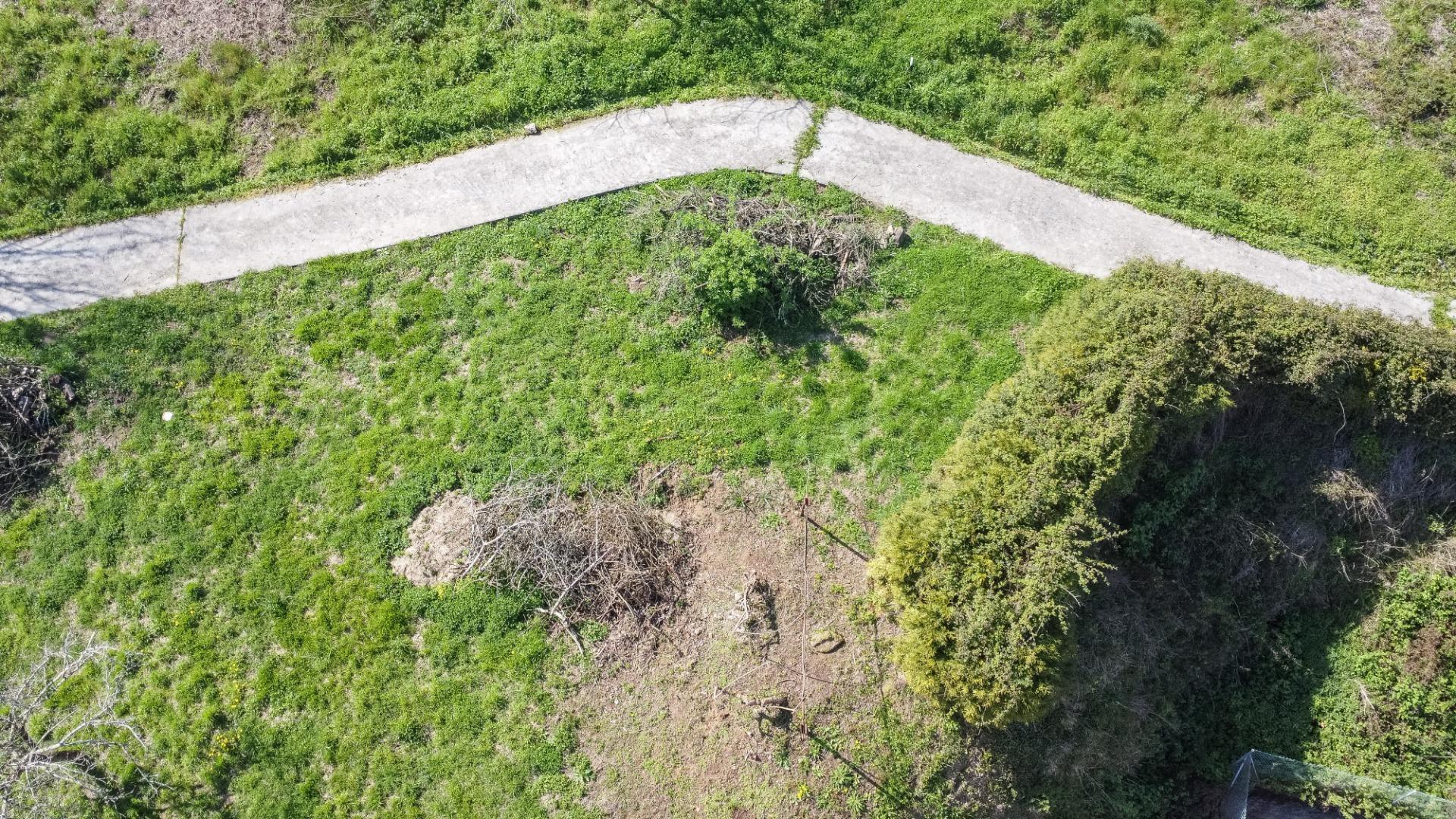 Fincas y solares-Venta-Pravia-2201350-Foto-11