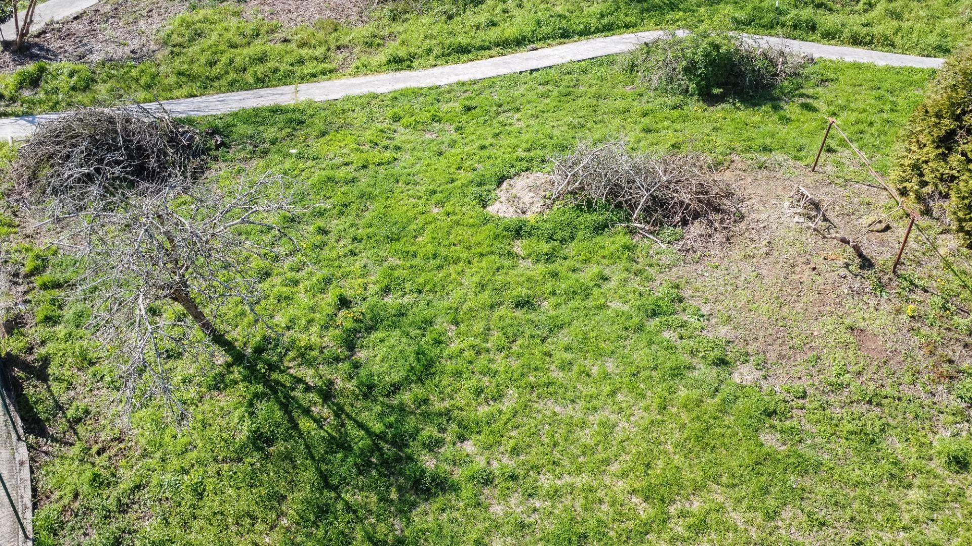 Fincas y solares-Venta-Pravia-2201350-Foto-25