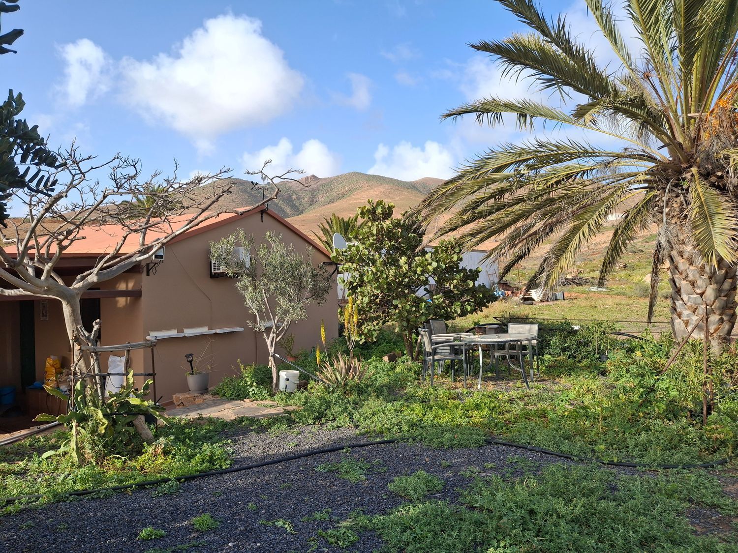 Casas o chalets-Venta-PÃ¡jara-2201777-Foto-5